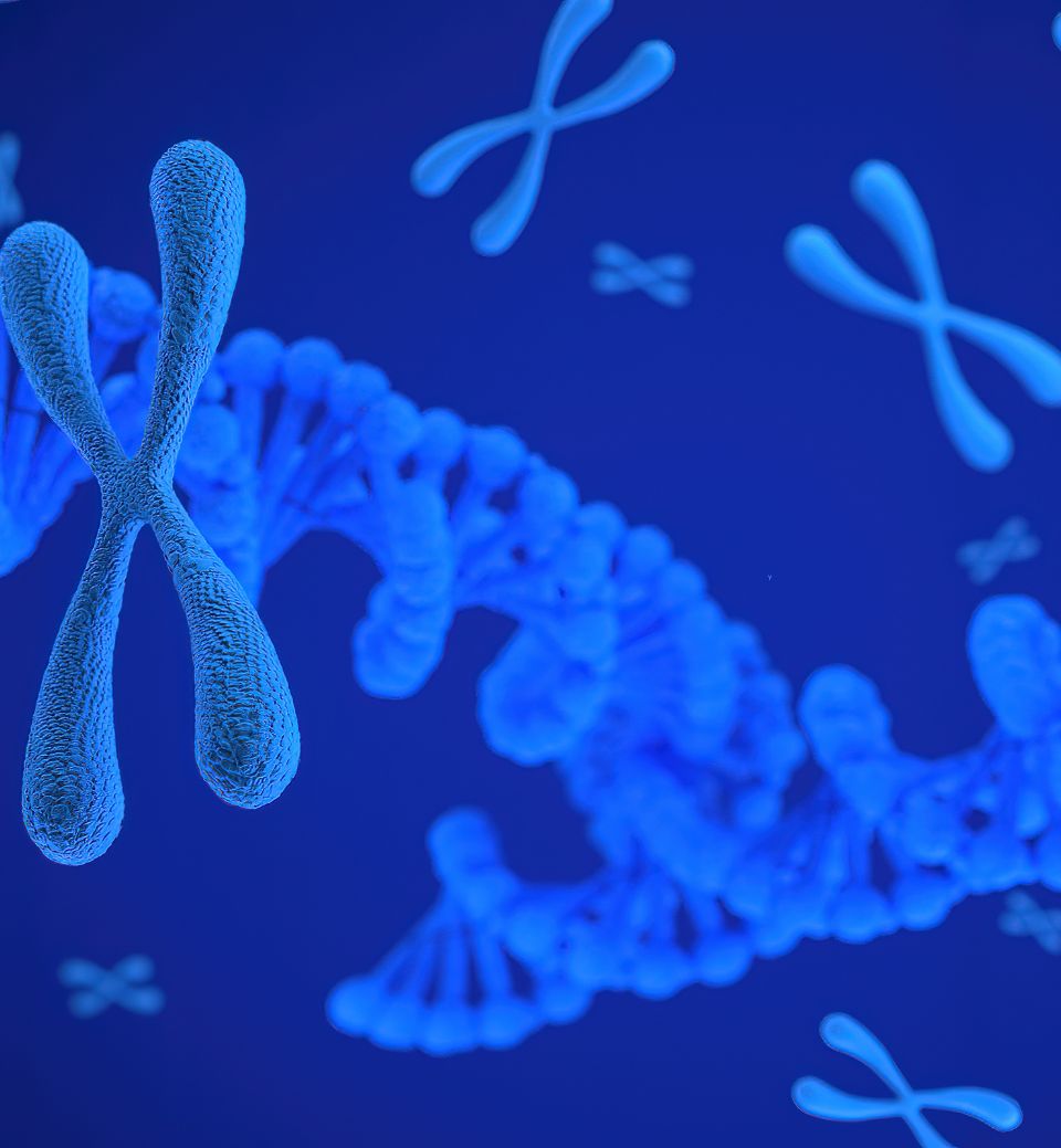Cell and gene therapy - logistics.
